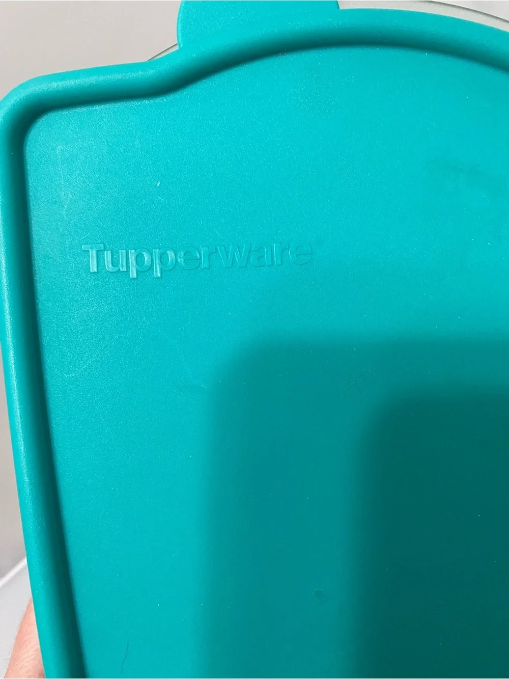 Tupperware Teal Stackable Pizza Storage